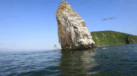  sea, coast 動画素材 587761