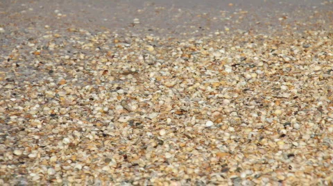 Sea coast Stock Footage 874568