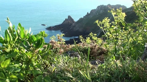 Sea Coast 動画素材 38281071