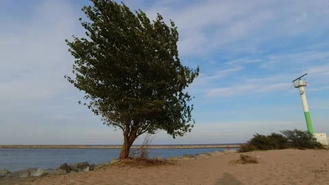 Sea coast Stock Footage 161944794