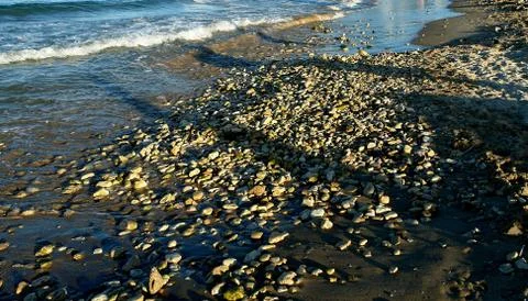 Sea coast Stock Photos