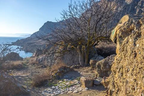 Sea coast Foto stock