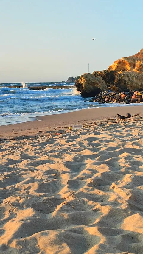 Sea coast sandy beach, blue water, yellow rocks on a summer sunny morning Stock Footage 280055352