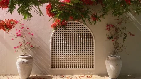 Sea composition flower window exotic Stock Footage 195492798