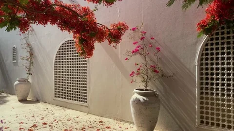 Sea composition flower window exotic Stock Footage 195533740