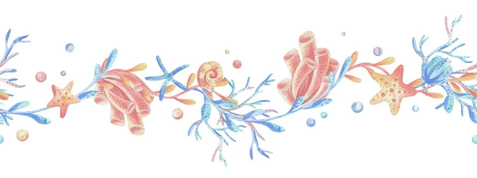 Sea corals, algae, shells, starfish, bubbles. Watercolor illustration hand drawn イラスト素材