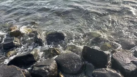 The sea corner view with the stones Stock-Footage 313325571