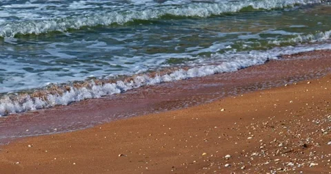 Sea-covered seashore and shells run over by sea waves Stock Footage 142876695