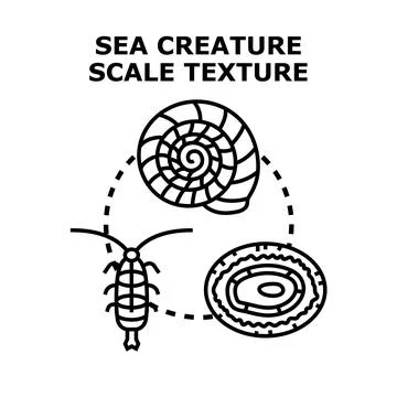 Sea creature scale texture concept vector Stock Illustration