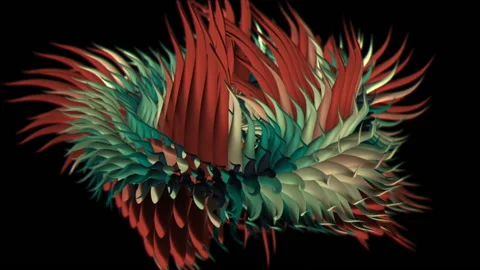 Sea Creatures 1 Stock Footage 145267188