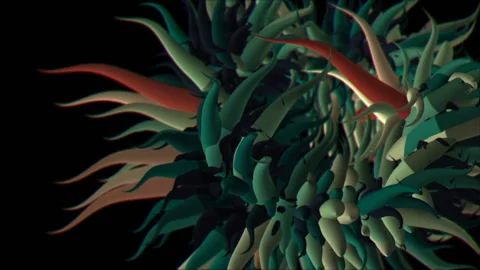 Sea Creatures 10 Stock Footage 145267267