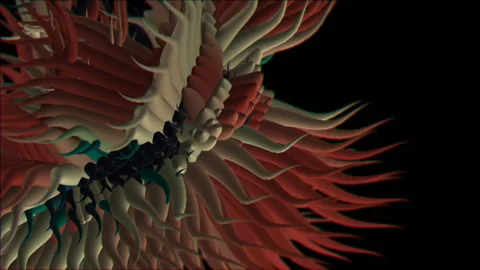 Sea Creatures 12 Stock Footage 145267303