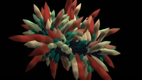 Sea Creatures 4 Stock Footage 145267156