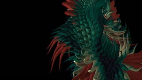 Sea Creatures 5 Stock Footage 145267289