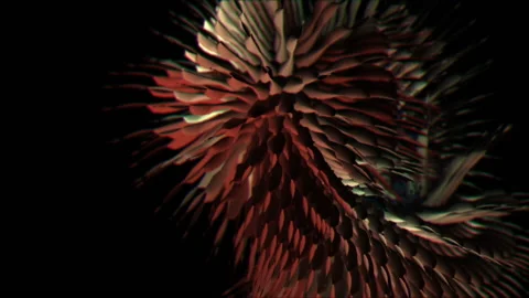 Sea Creatures 7 Stock Footage 145267229