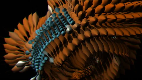 Sea Creatures 9 Stock Footage 145267293