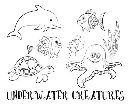 Sea Creatures Contours Stock Illustration