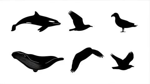 Sea Creatures of Sailing Black Solid Silhouettes Collection Stock Illustration