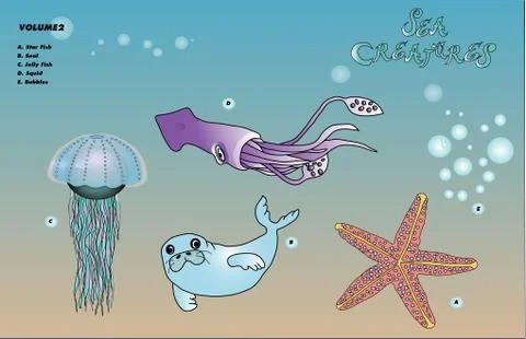 Sea Creatures volume 2 Stock Photos