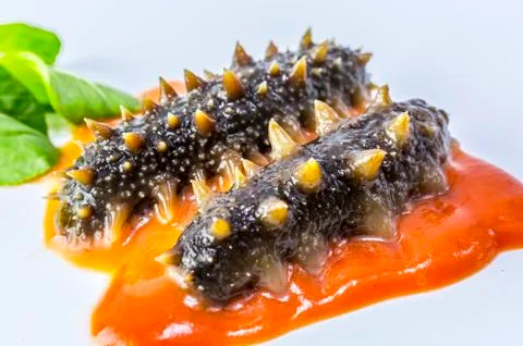 Sea cucumber Stock Photos