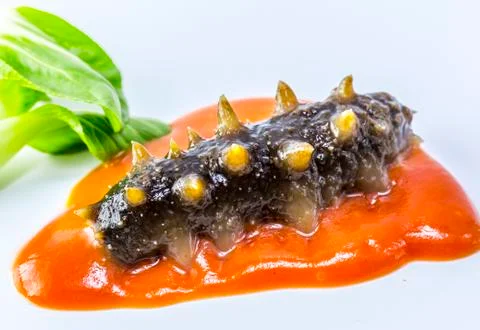 Sea cucumber Stock Photos