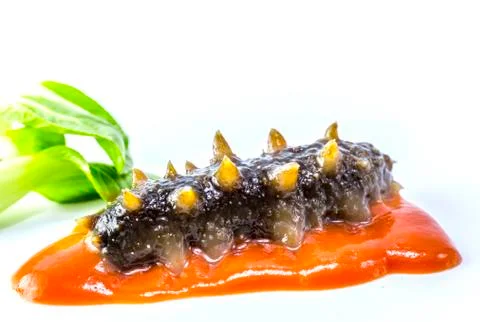Sea cucumber Stock Photos
