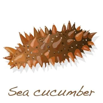 Sea cucumber  solated Stock Illustration