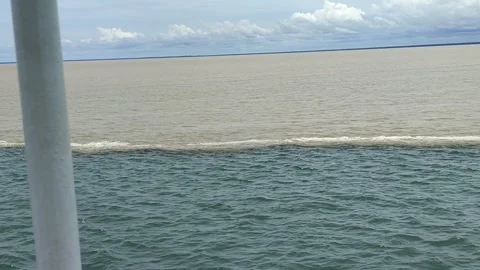 Sea ​​of ​​different colors Video stock 244024483
