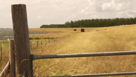 Sea dike on the Grevelingen Video stock 252182591