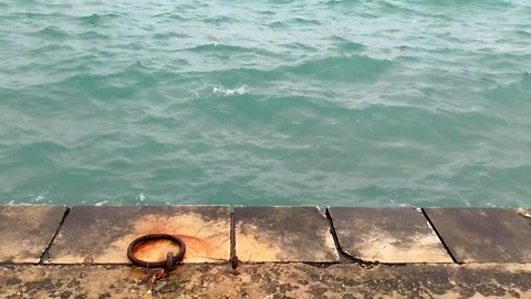 Sea by the dock Stock-Footage 304978803
