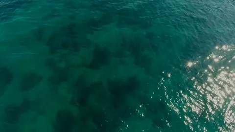 Sea drone Video stock 102415105