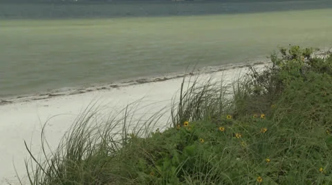 Sea dunes Stock Footage 24465648