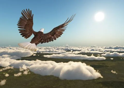 Sea eagle over the clouds Stock Illustration