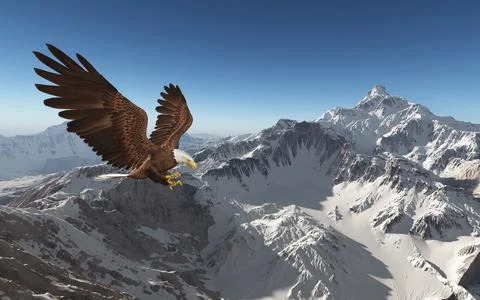Sea eagle over a mountain landscape Stock Illustration