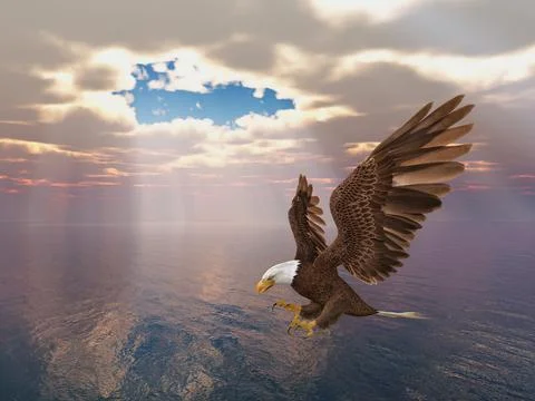 Sea eagle over the sea Stock Illustration