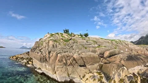 Sea eagle taking off from rocky islet in clear turquoise fjord Lofoten Stock-Footage 344453235