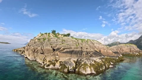 Sea eagles resting on rocky islet surrounded by turquoise fjord Lofoten Vidéo 344453273