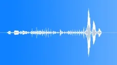Sea Eagles WingbeatsSound Effect