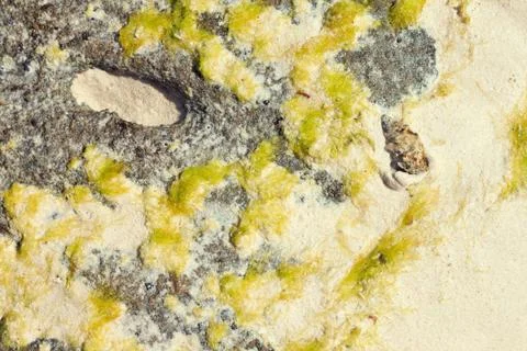 Sea ebb background Stock Photos