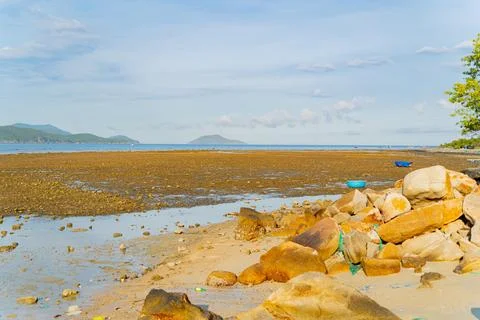 The sea ebb at sunset. Photos