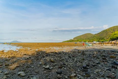 The sea ebb at sunset. Foto stock