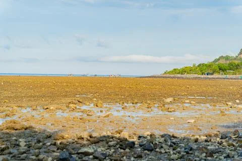 The sea ebb at sunset. Photos