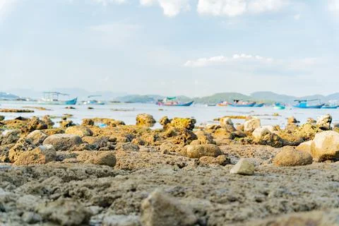 The sea ebb at sunset. 스톡 사진