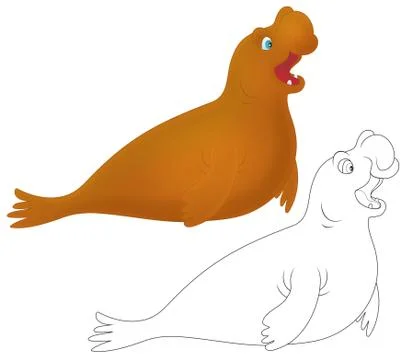 Sea elephant Stock Illustration