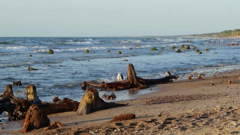 The sea in the evening Stock Footage 90784594