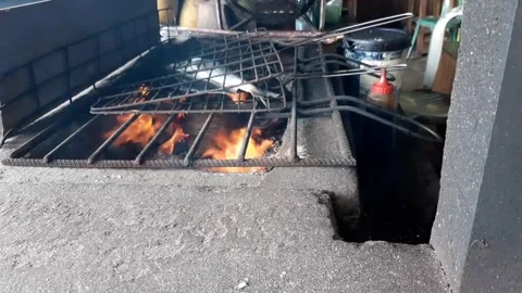 Sea fish being grilled over coals. Stock Footage 221596401
