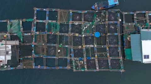 Sea fish farm Stock Photos