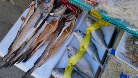 Sea fish Video stock 74399729