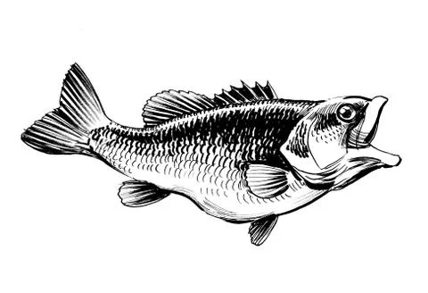 Sea fish Stock Illustration