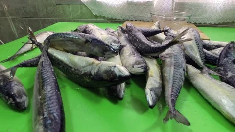 Sea fish. Mackerel on the table. Raw frozen fish. Stock Footage 83965529